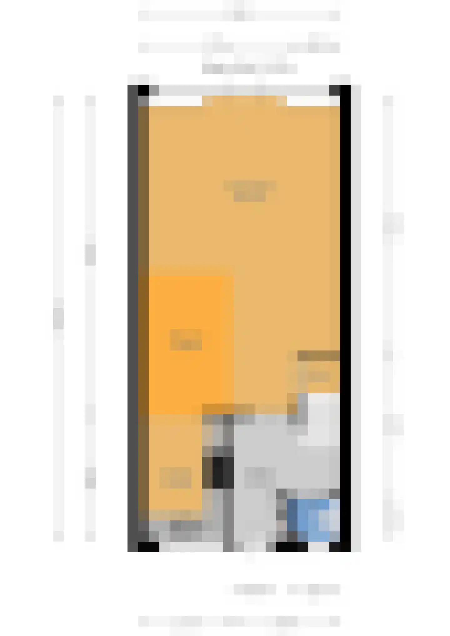 Zilvermeeuw 15 De Lier thumbnail 48