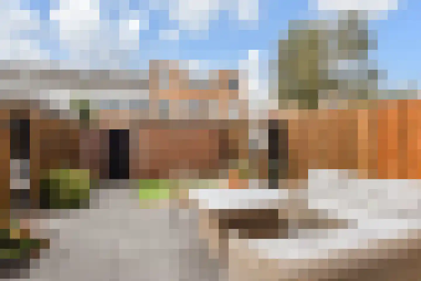 Zilvermeeuw 15 De Lier thumbnail 5