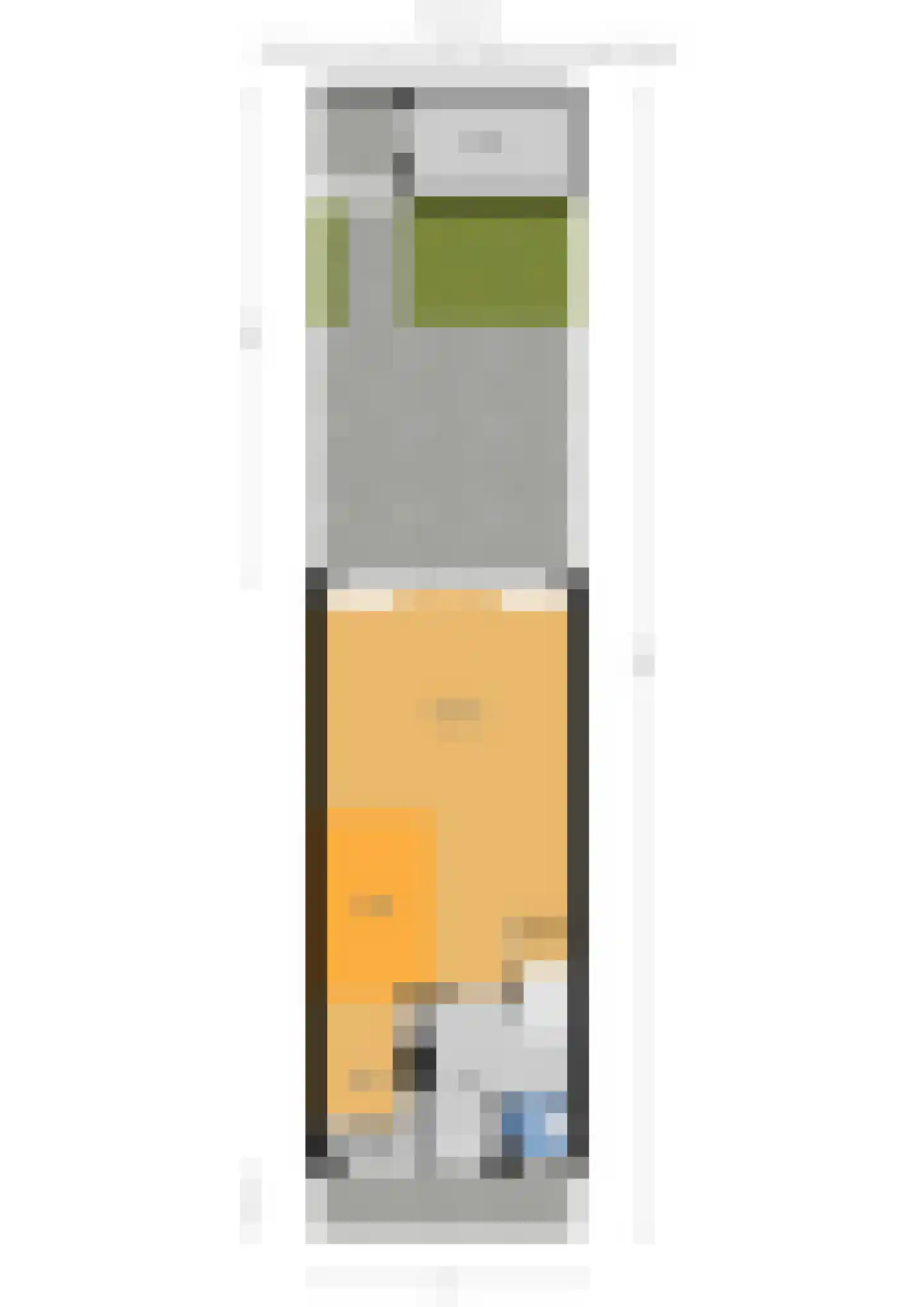 Zilvermeeuw 15 De Lier thumbnail 51