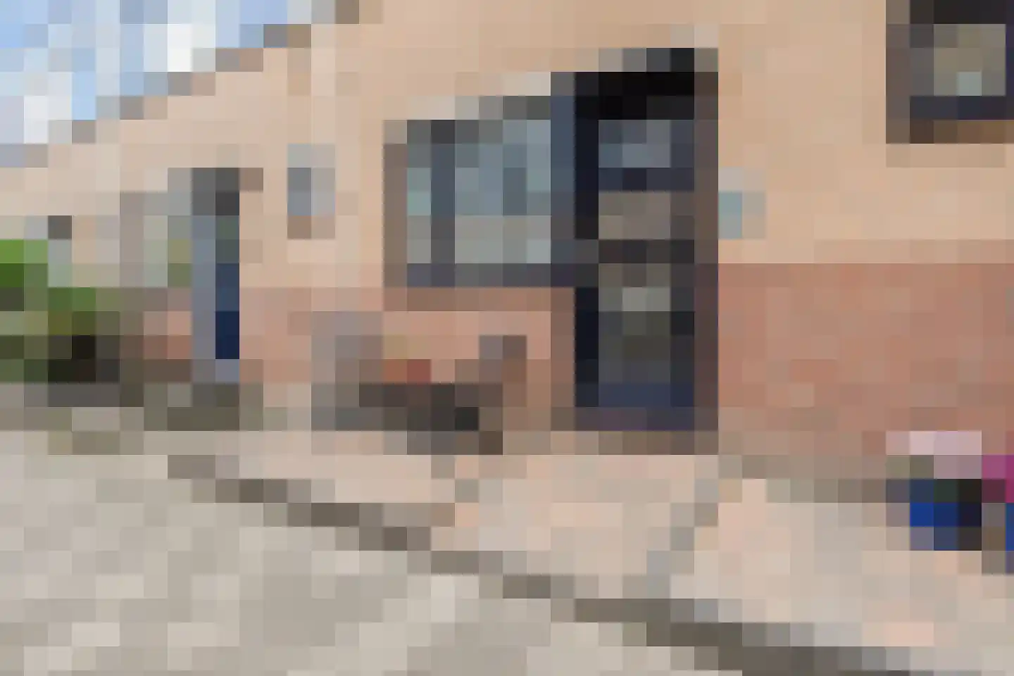 Zilvermeeuw 15 De Lier thumbnail 6