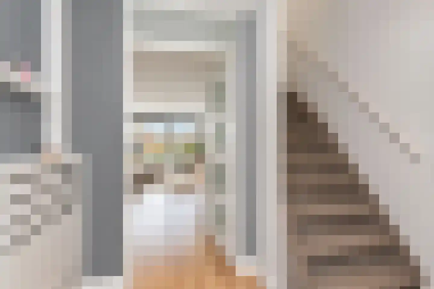 Zilvermeeuw 15 De Lier thumbnail 7