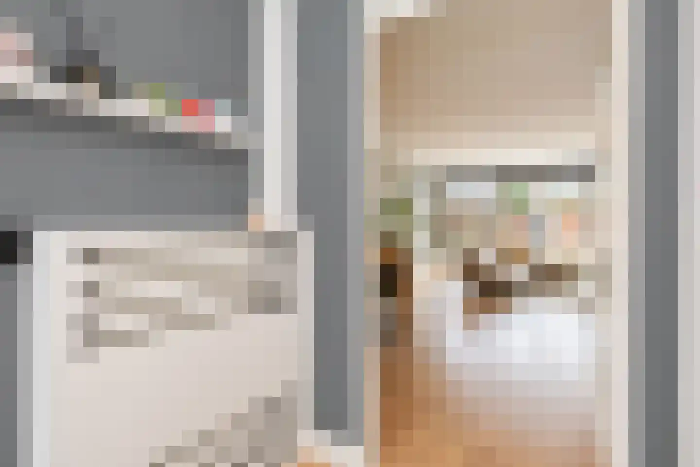 Zilvermeeuw 15 De Lier thumbnail 8