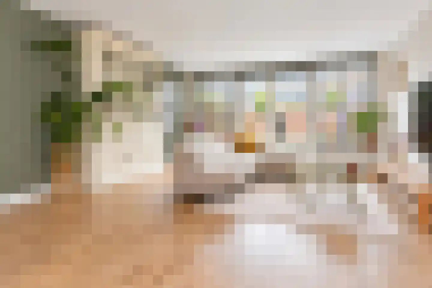 Zilvermeeuw 15 De Lier thumbnail 9