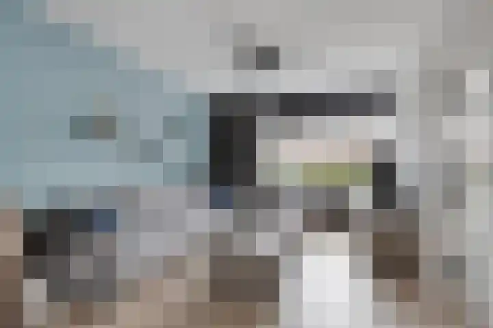 Zilvermeeuw 151 Etten-Leur thumbnail 10