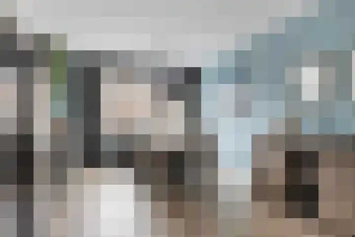 Zilvermeeuw 151 Etten-Leur thumbnail 12