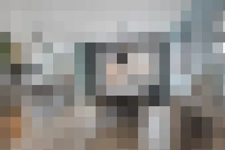 Zilvermeeuw 151 Etten-Leur thumbnail 13