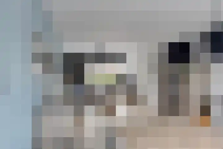 Zilvermeeuw 151 Etten-Leur thumbnail 14