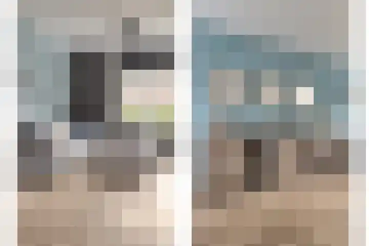 Zilvermeeuw 151 Etten-Leur thumbnail 15