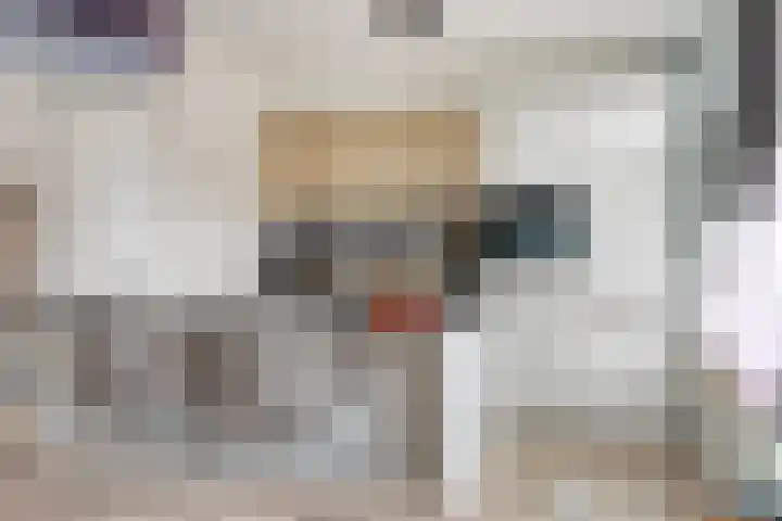 Zilvermeeuw 151 Etten-Leur thumbnail 16