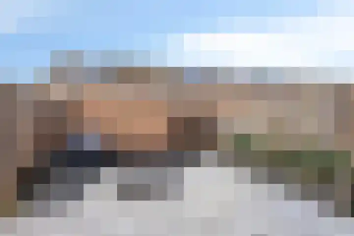 Zilvermeeuw 151 Etten-Leur thumbnail 20
