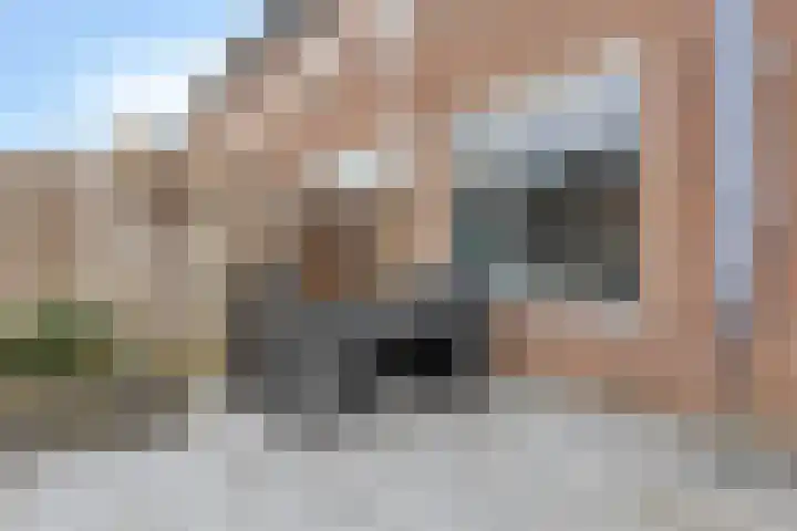 Zilvermeeuw 151 Etten-Leur thumbnail 22