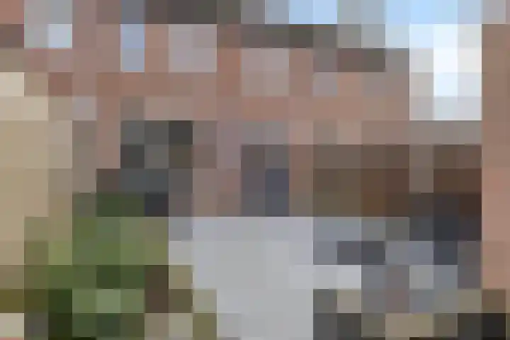 Zilvermeeuw 151 Etten-Leur thumbnail 23