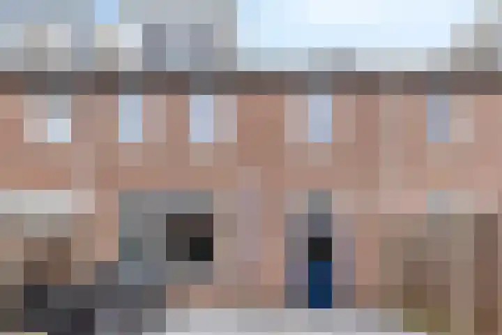 Zilvermeeuw 151 Etten-Leur thumbnail 24