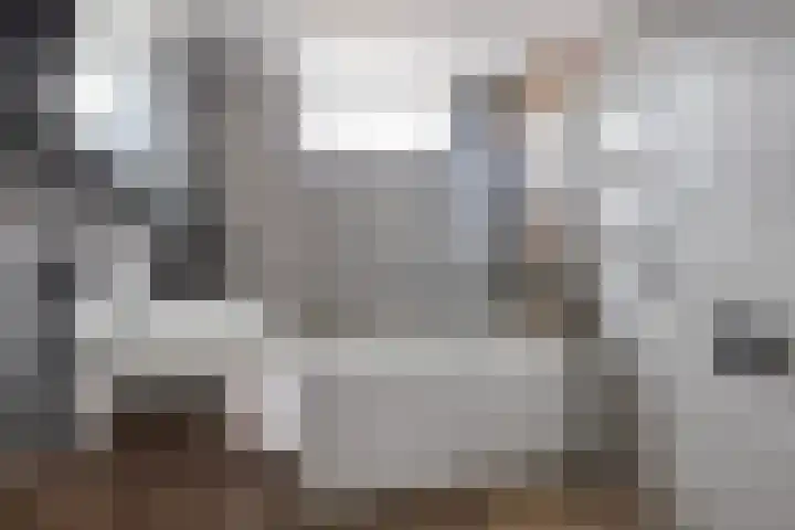 Zilvermeeuw 151 Etten-Leur thumbnail 27