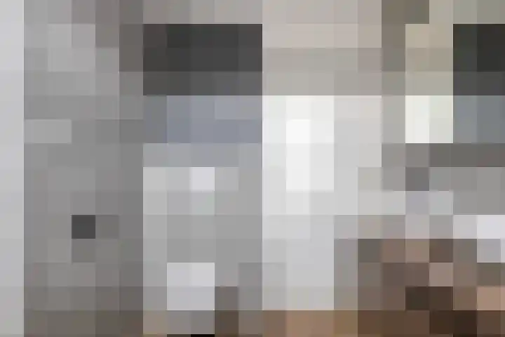 Zilvermeeuw 151 Etten-Leur thumbnail 28