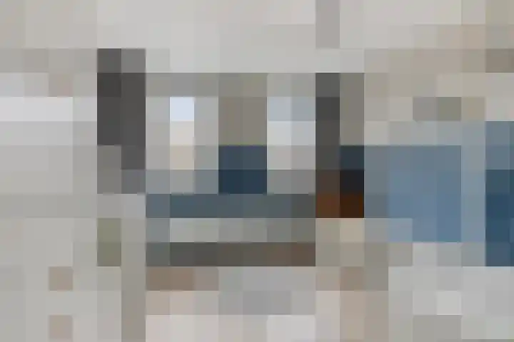 Zilvermeeuw 151 Etten-Leur thumbnail 31
