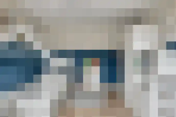 Zilvermeeuw 151 Etten-Leur thumbnail 32
