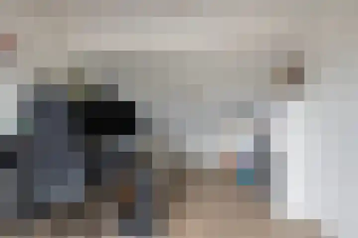 Zilvermeeuw 151 Etten-Leur thumbnail 34