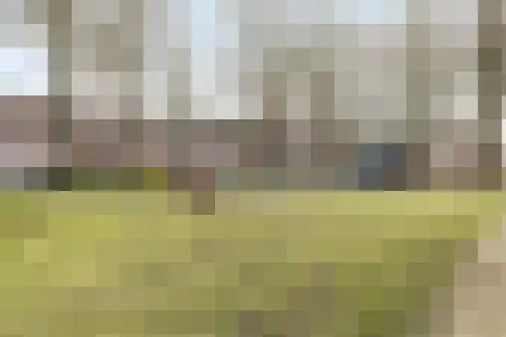 Zilvermeeuw 151 Etten-Leur thumbnail 36