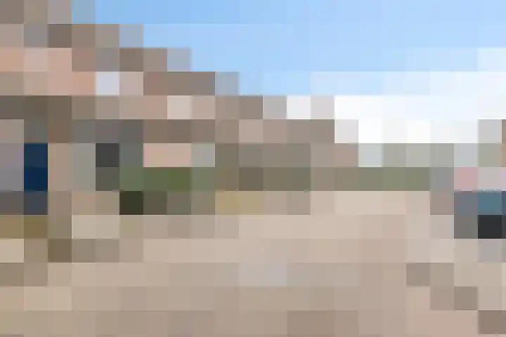 Zilvermeeuw 151 Etten-Leur thumbnail 37
