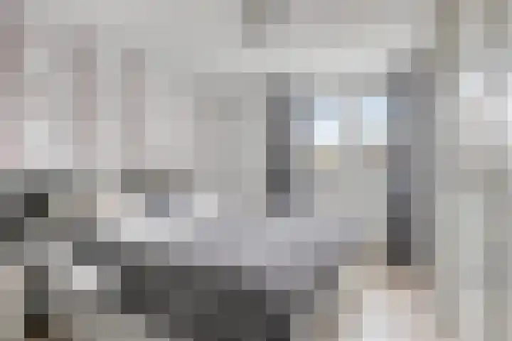 Zilvermeeuw 151 Etten-Leur thumbnail 4