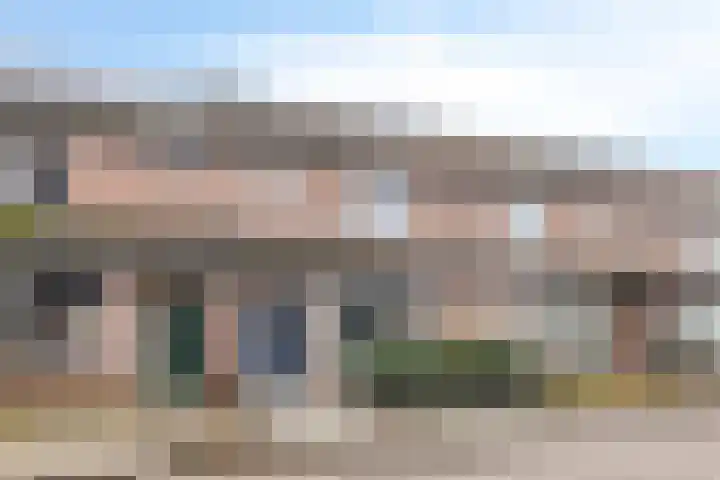 Zilvermeeuw 151 Etten-Leur thumbnail 6