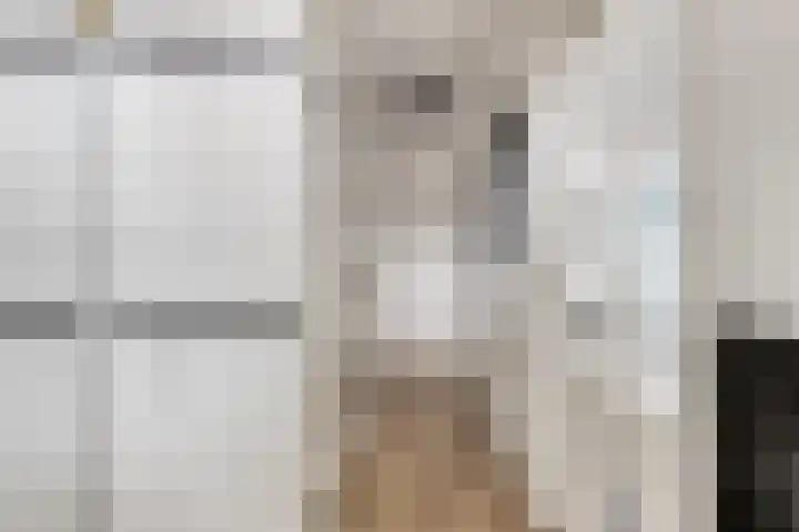 Zilvermeeuw 151 Etten-Leur thumbnail 7