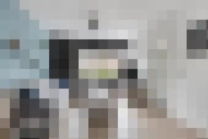 Zilvermeeuw 151 Etten-Leur thumbnail 9