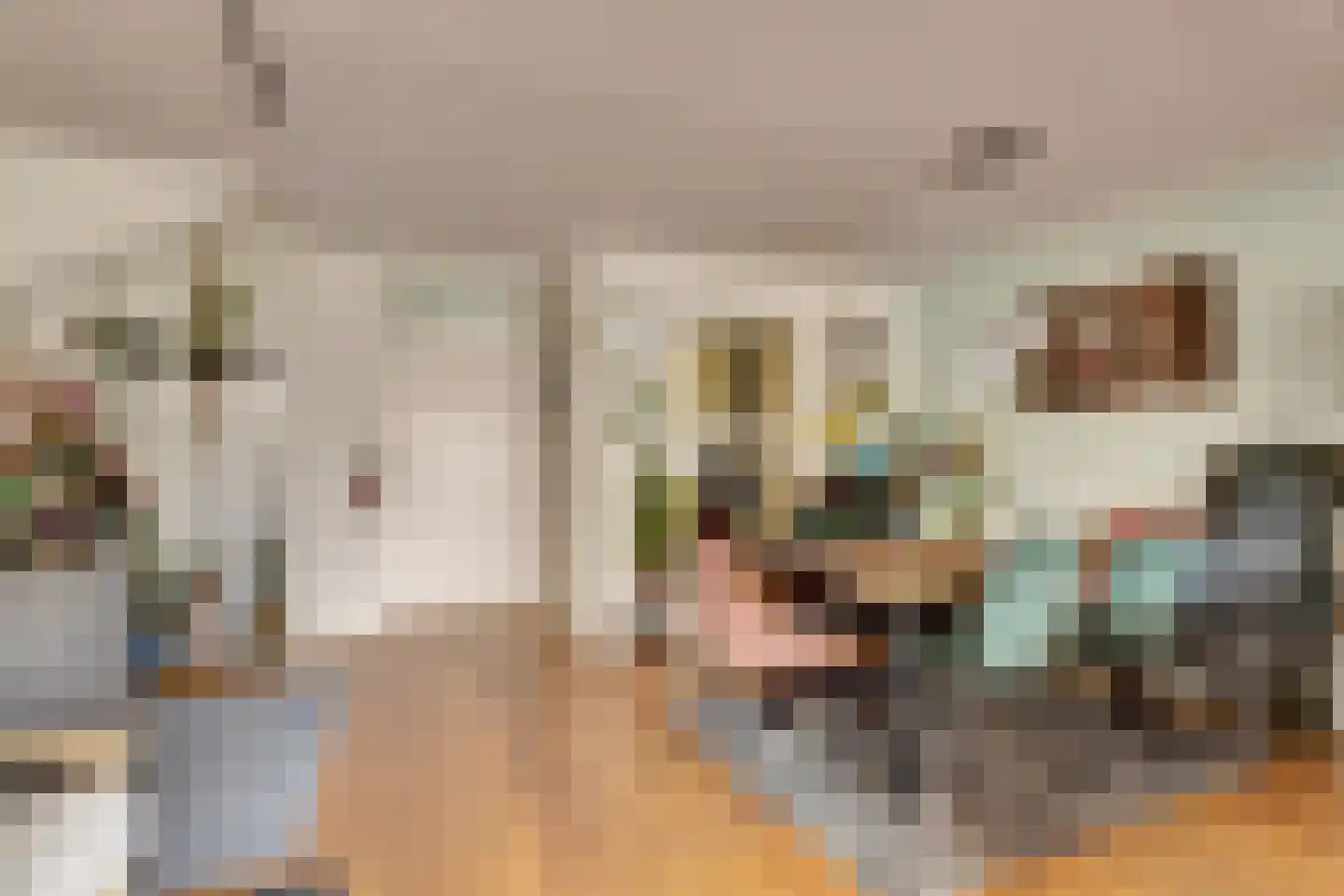 Zilvermeeuw 18 De Lier thumbnail 10