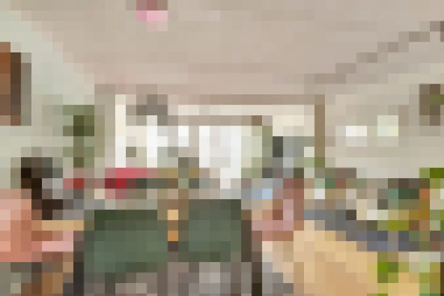 Zilvermeeuw 18 De Lier thumbnail 11