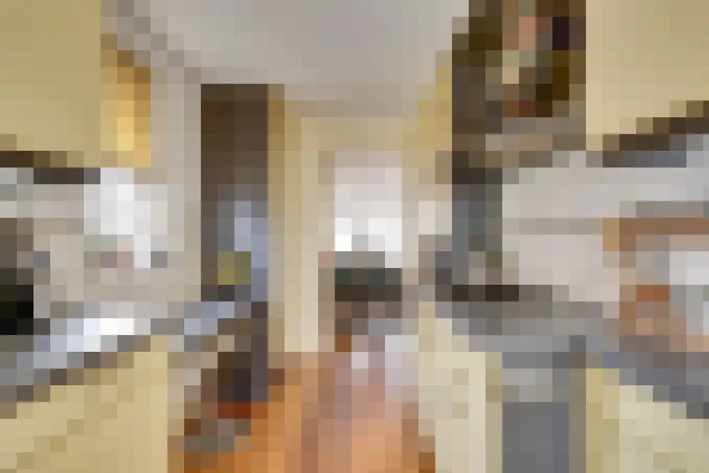Zilvermeeuw 18 De Lier thumbnail 12