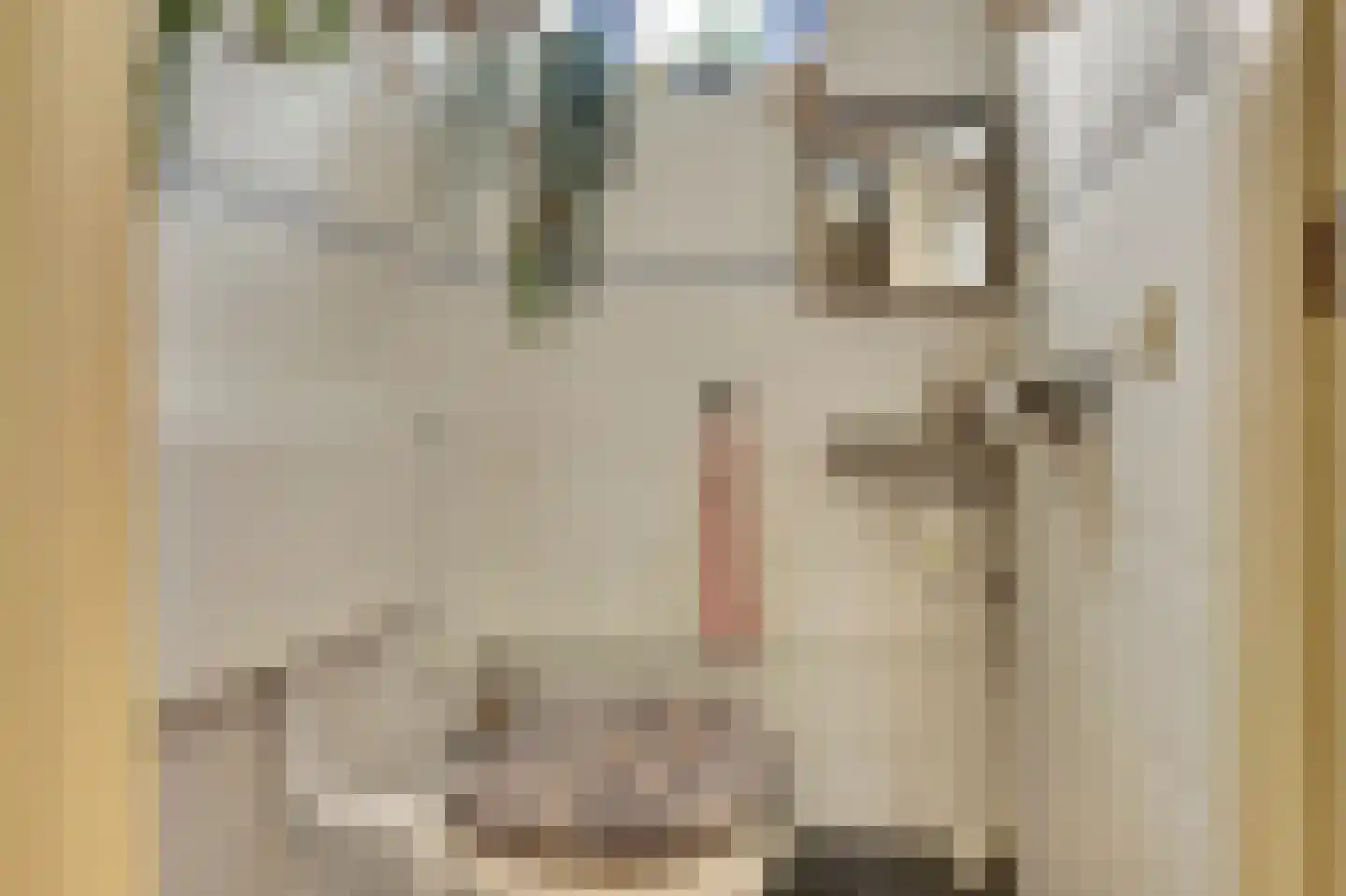 Zilvermeeuw 18 De Lier thumbnail 13