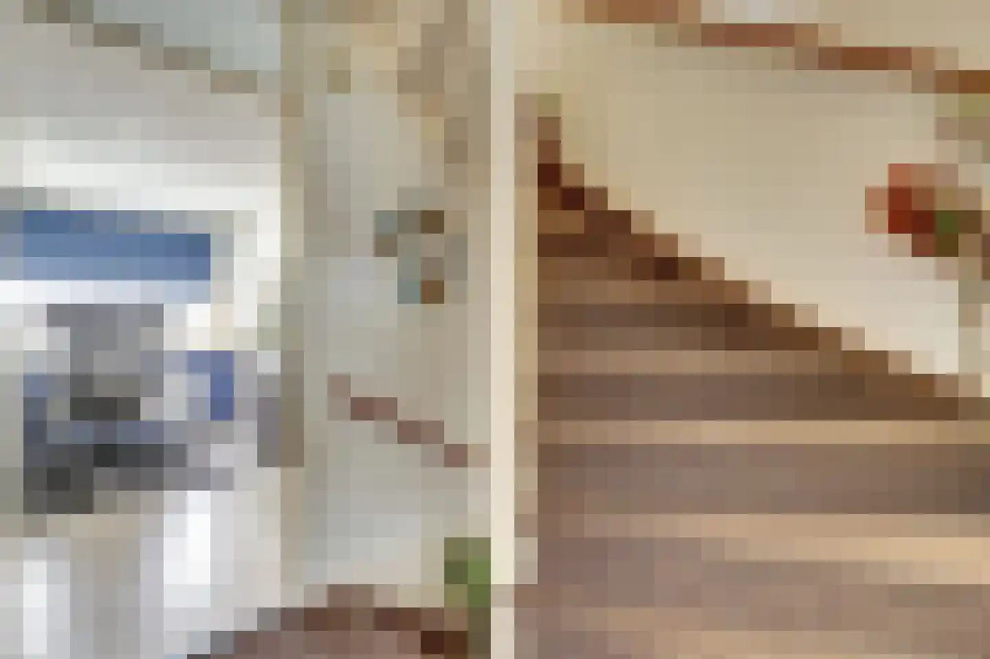 Zilvermeeuw 18 De Lier thumbnail 14