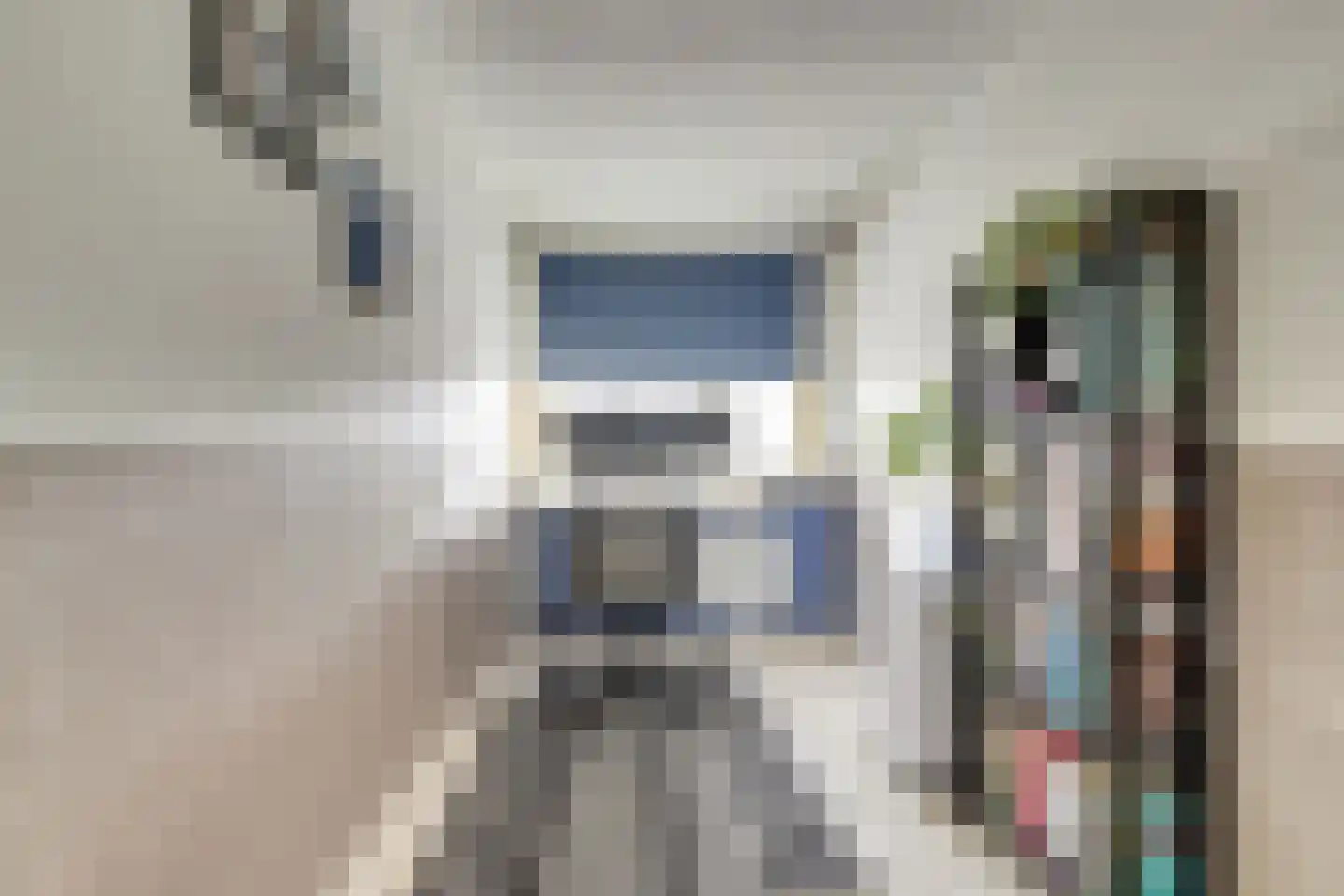 Zilvermeeuw 18 De Lier thumbnail 15