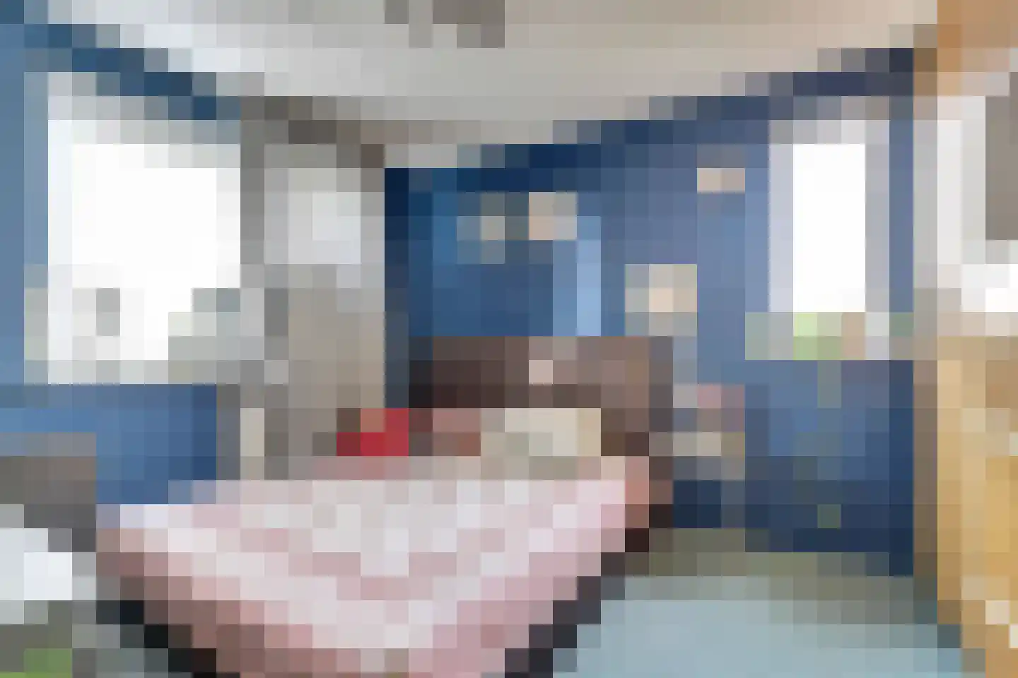 Zilvermeeuw 18 De Lier thumbnail 16