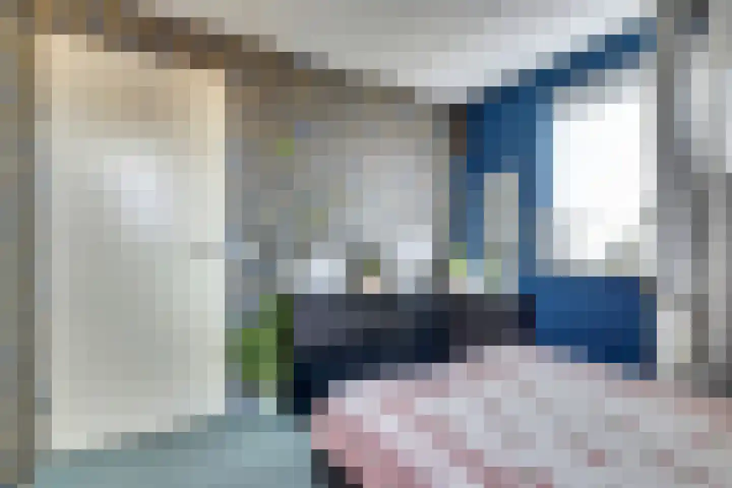 Zilvermeeuw 18 De Lier thumbnail 17