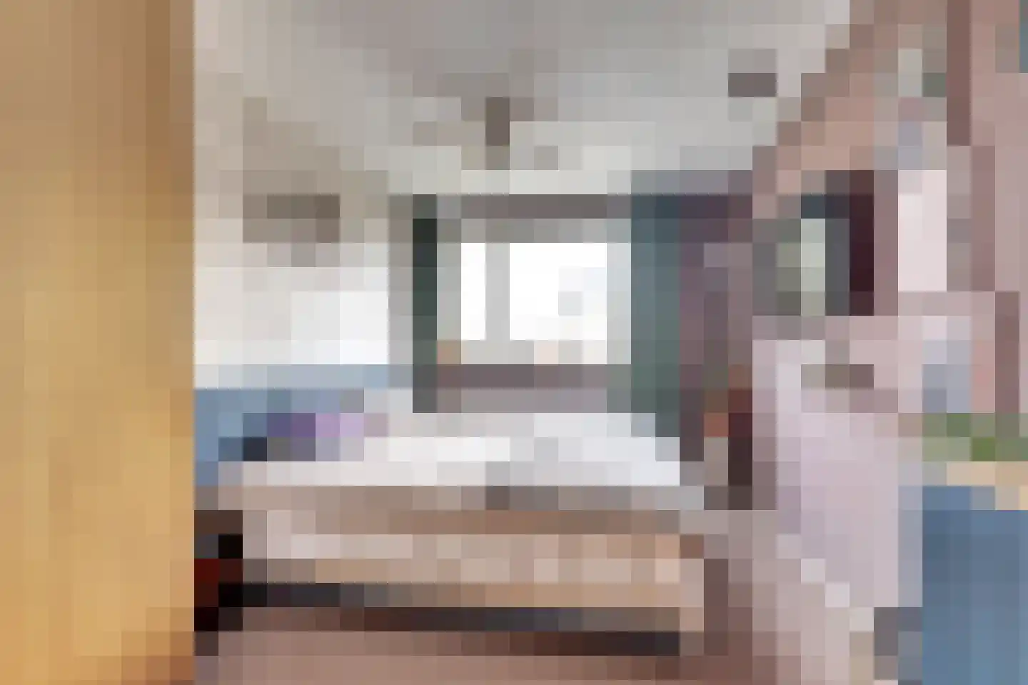 Zilvermeeuw 18 De Lier thumbnail 18