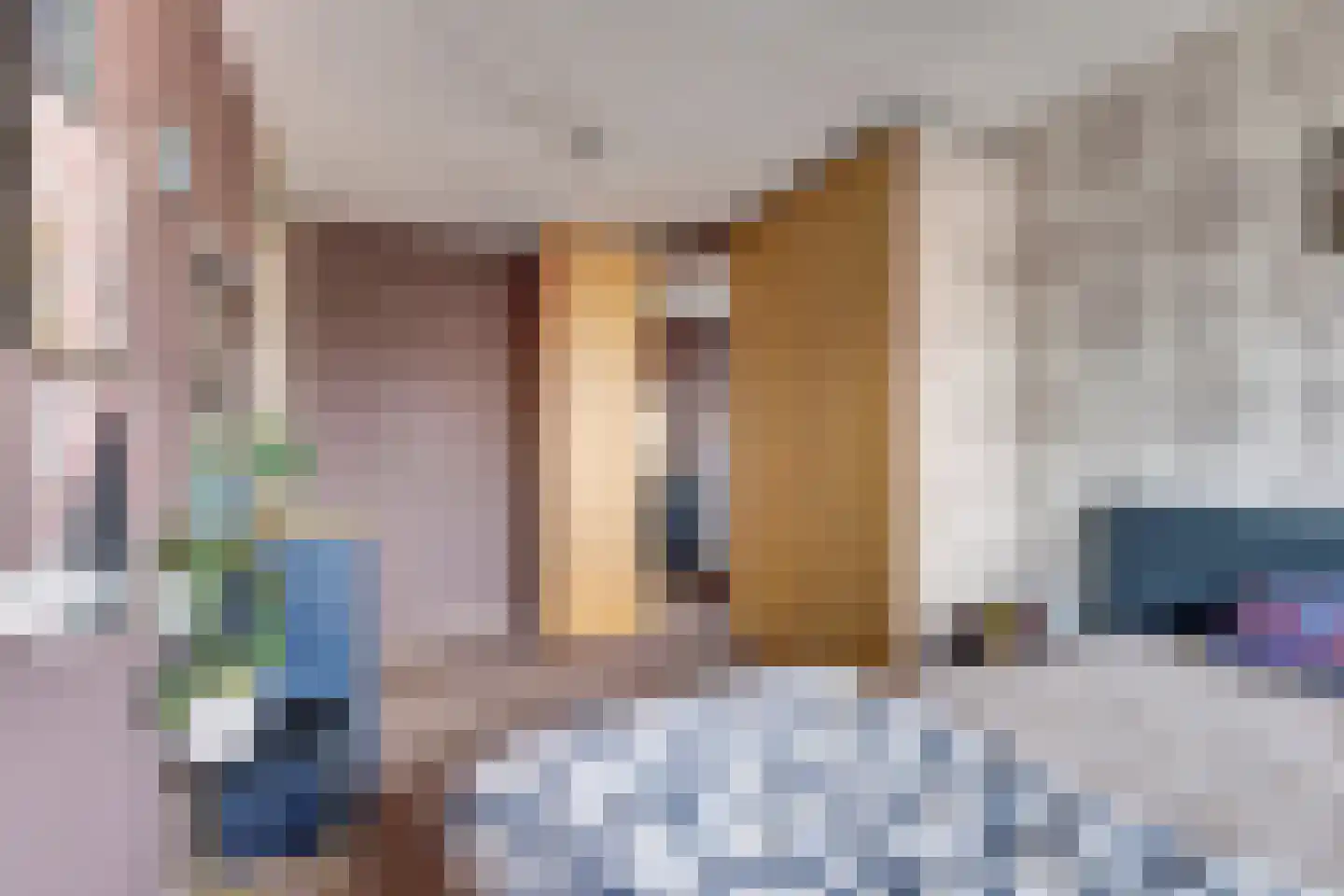 Zilvermeeuw 18 De Lier thumbnail 19