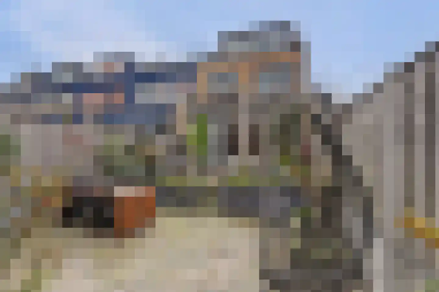 Zilvermeeuw 18 De Lier foto 2