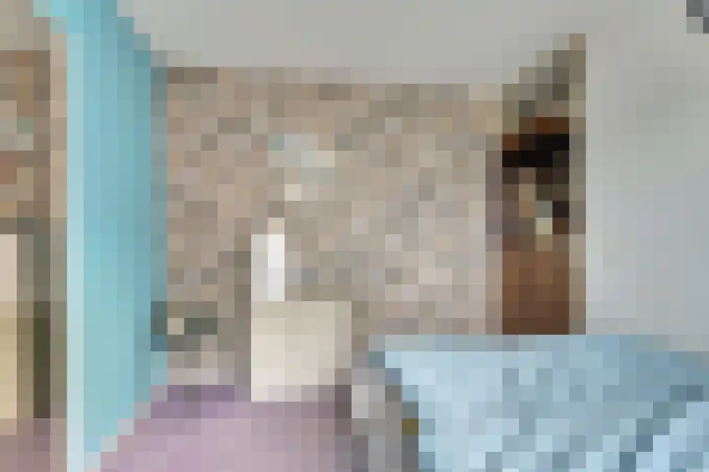 Zilvermeeuw 18 De Lier thumbnail 21