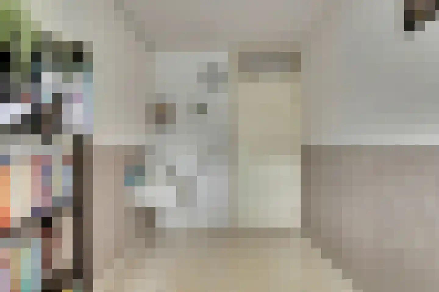 Zilvermeeuw 18 De Lier thumbnail 22