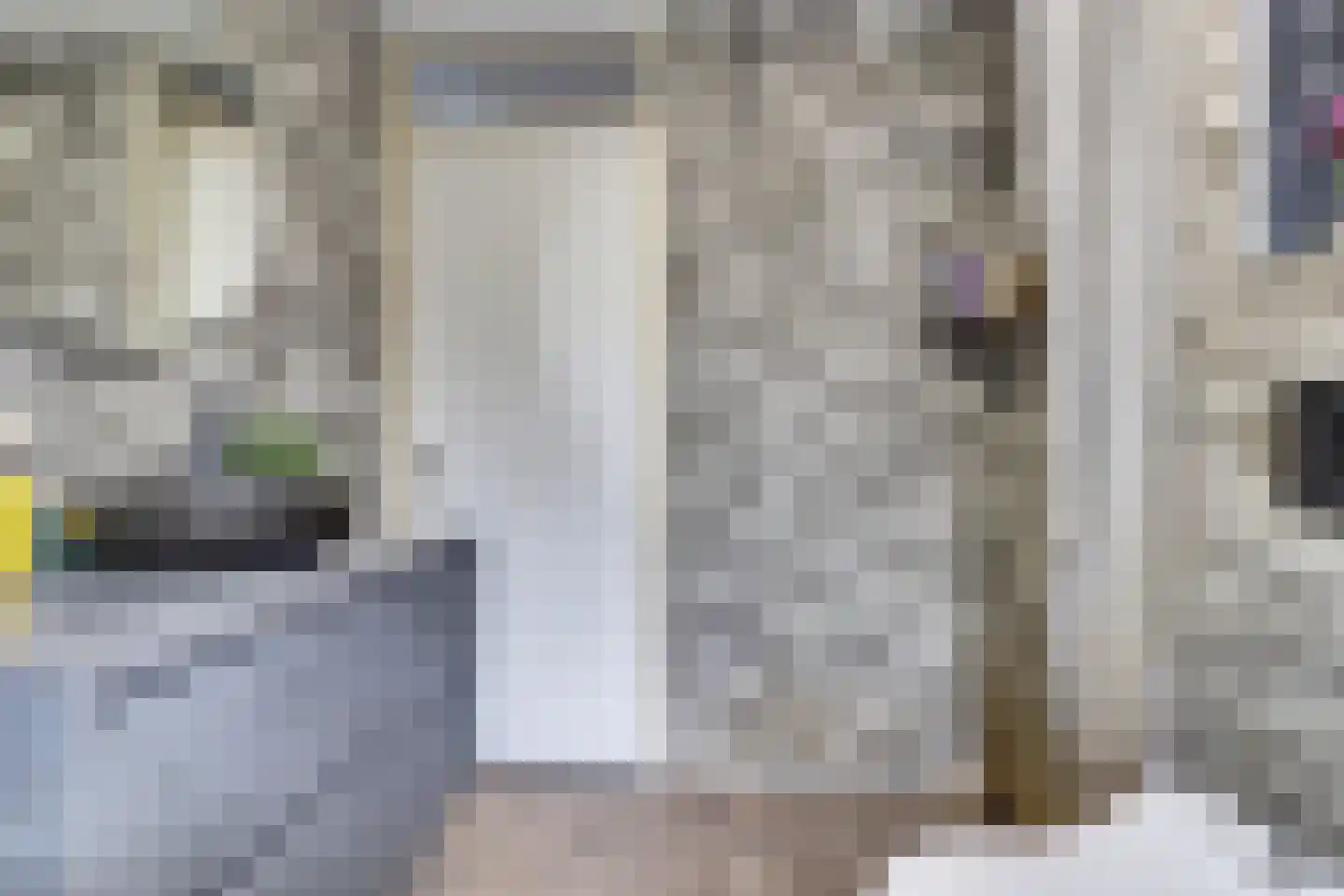 Zilvermeeuw 18 De Lier thumbnail 24