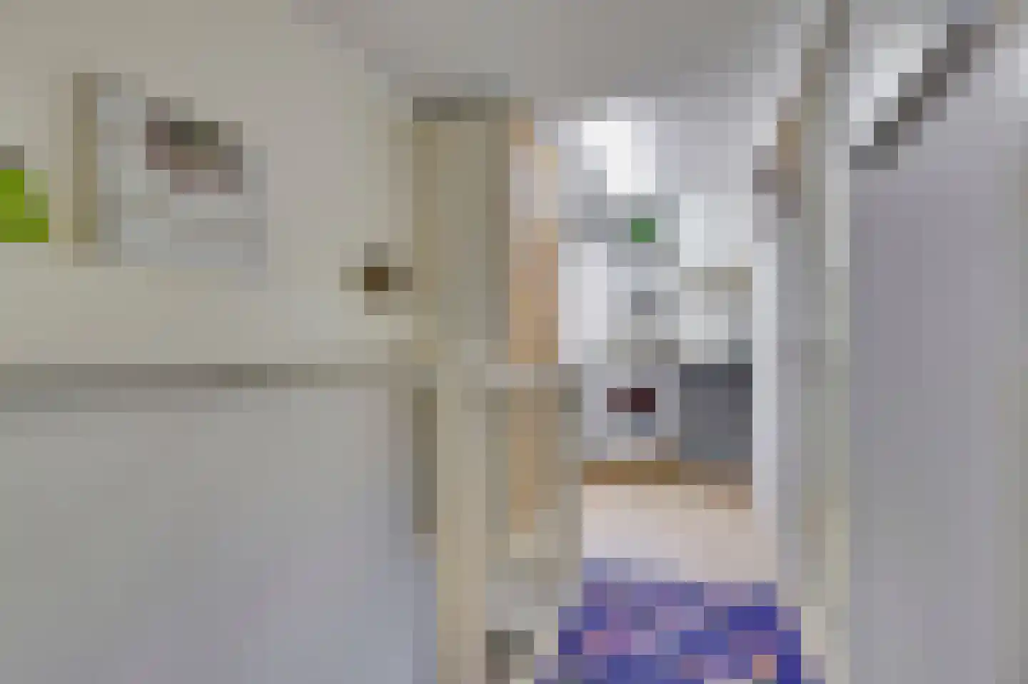 Zilvermeeuw 18 De Lier thumbnail 25