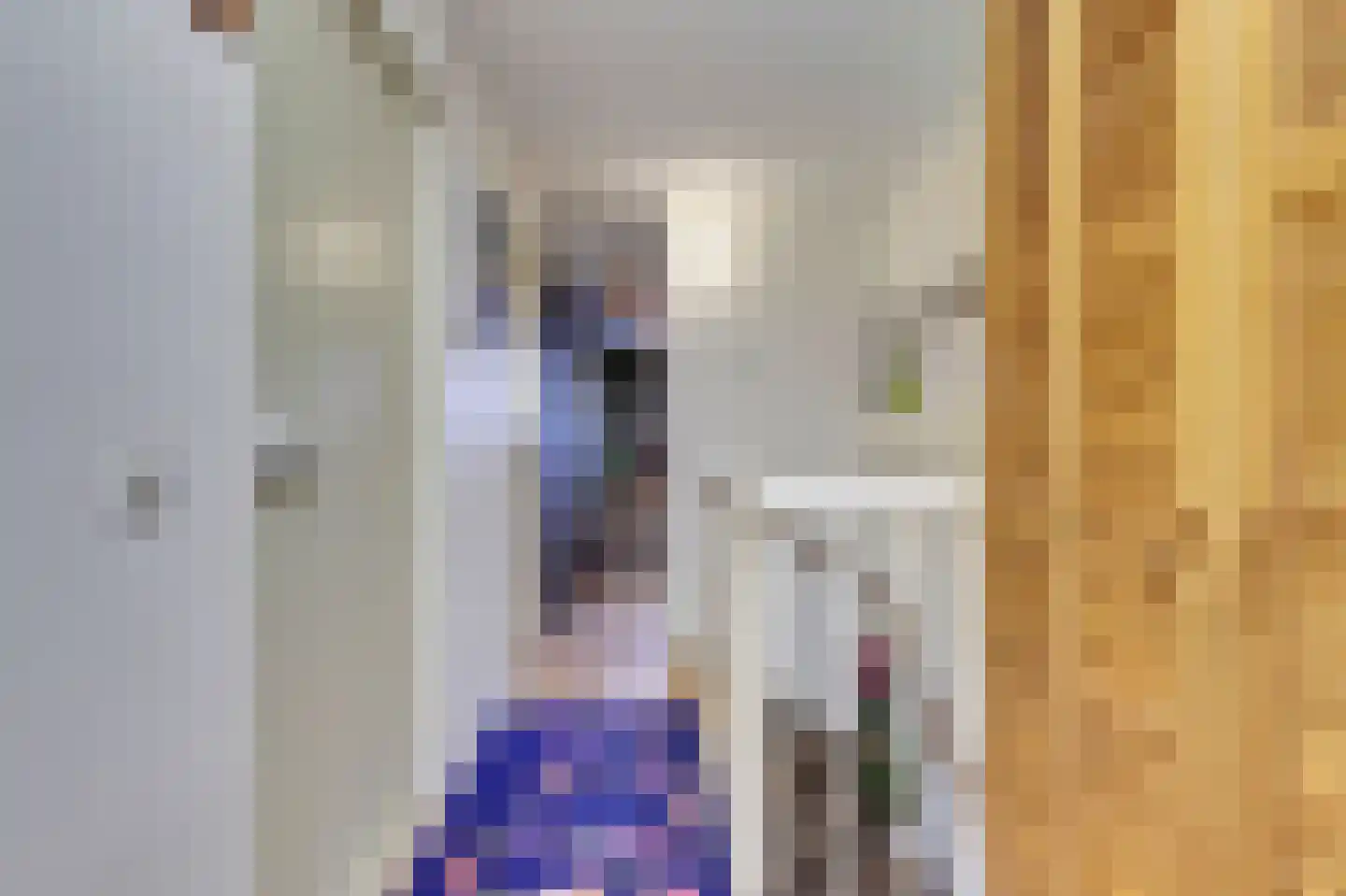 Zilvermeeuw 18 De Lier thumbnail 26