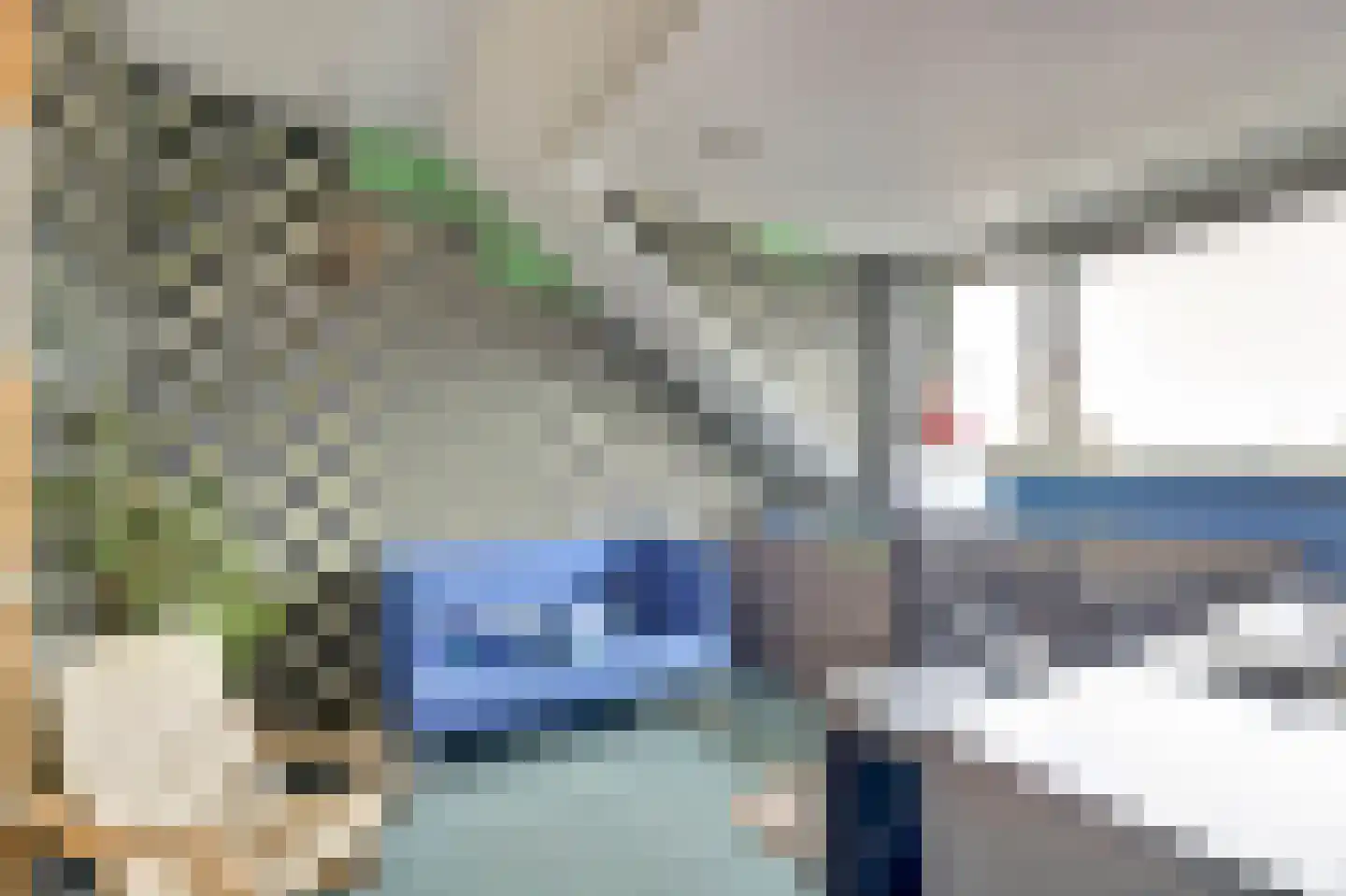 Zilvermeeuw 18 De Lier thumbnail 27