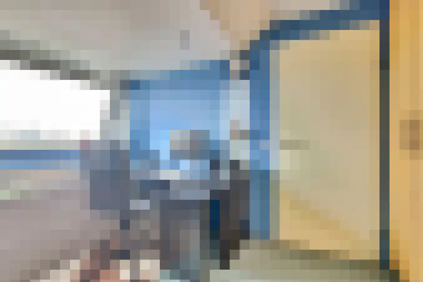 Zilvermeeuw 18 De Lier thumbnail 28