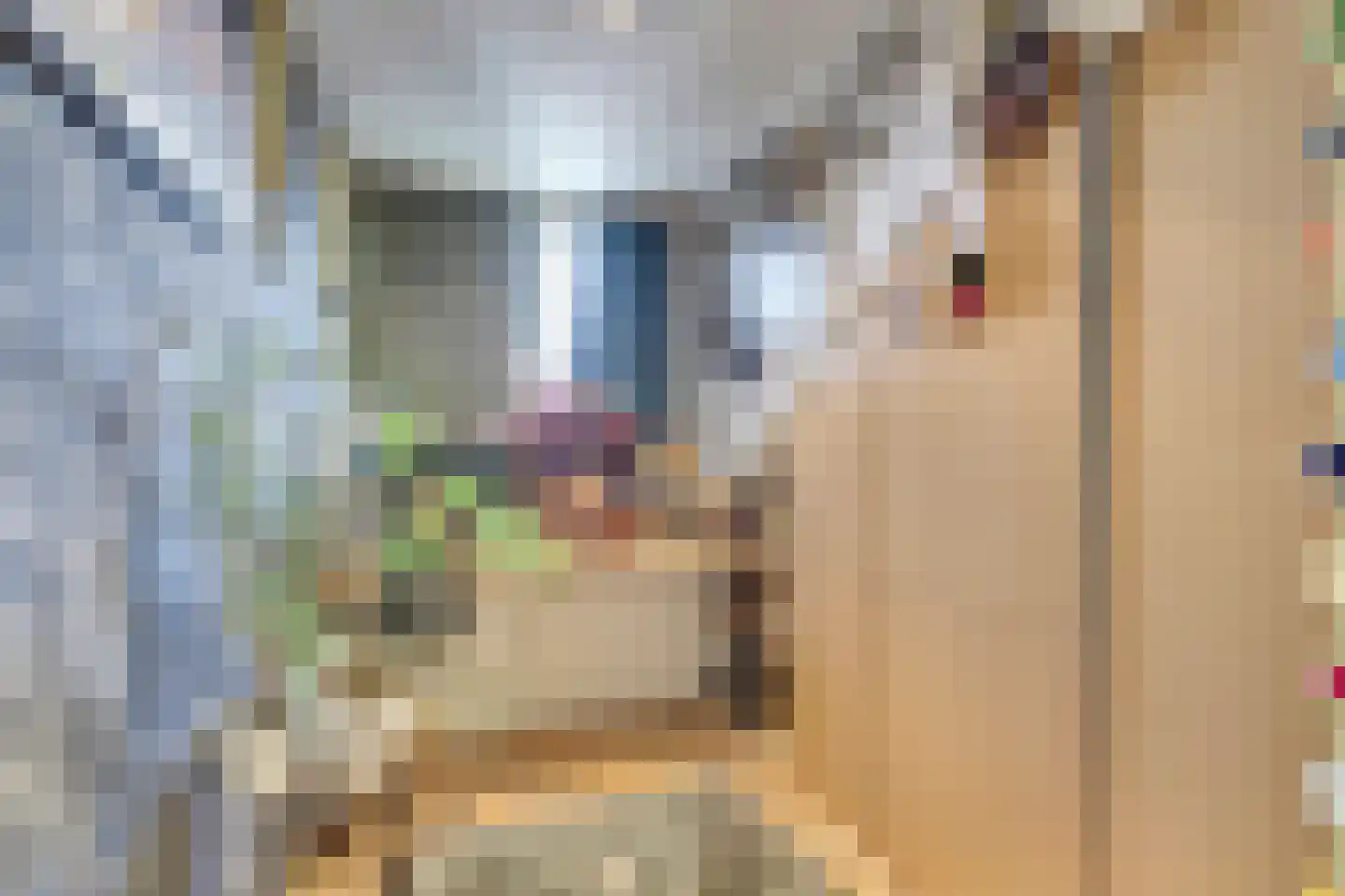 Zilvermeeuw 18 De Lier thumbnail 29