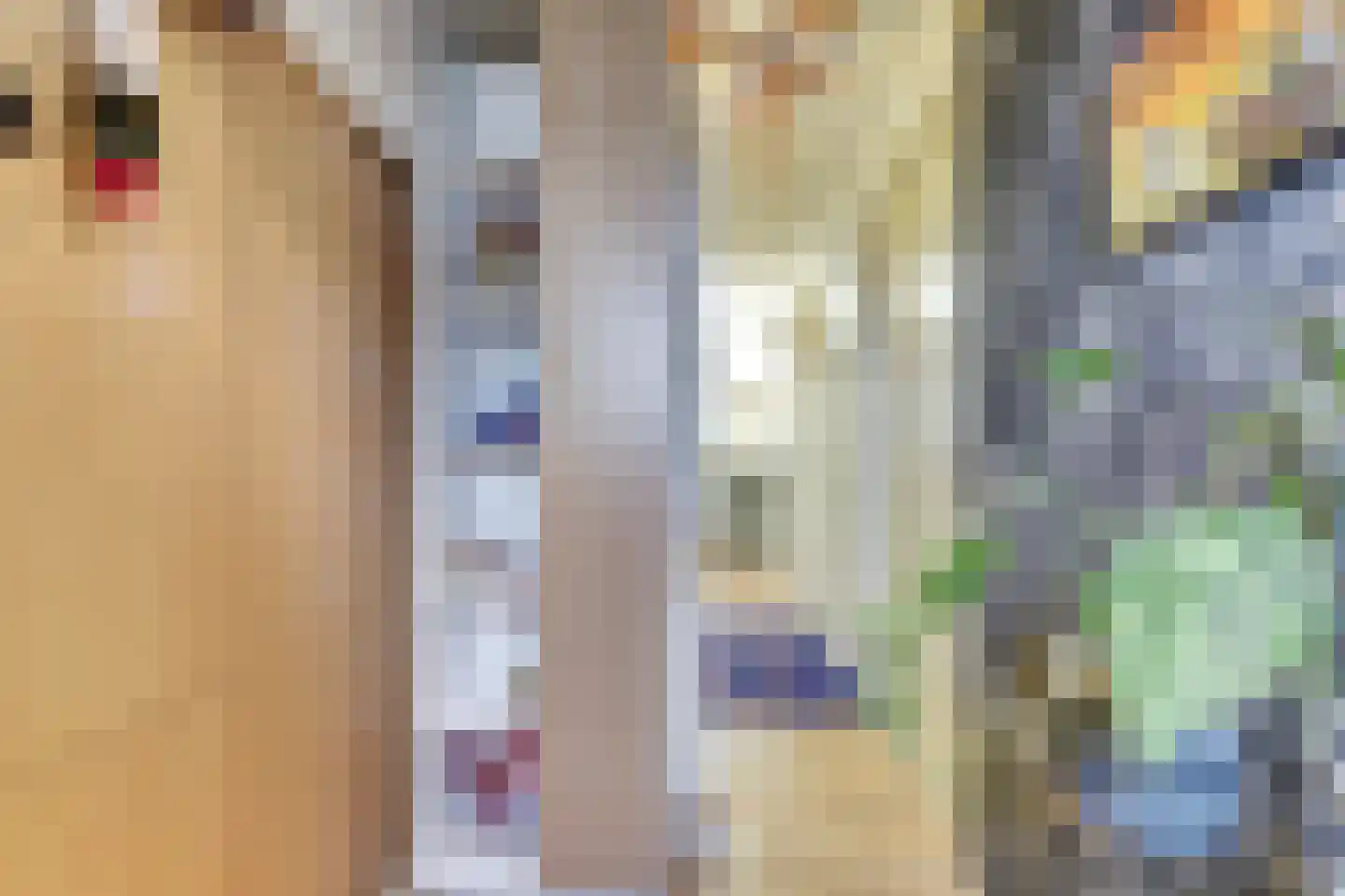 Zilvermeeuw 18 De Lier thumbnail 30