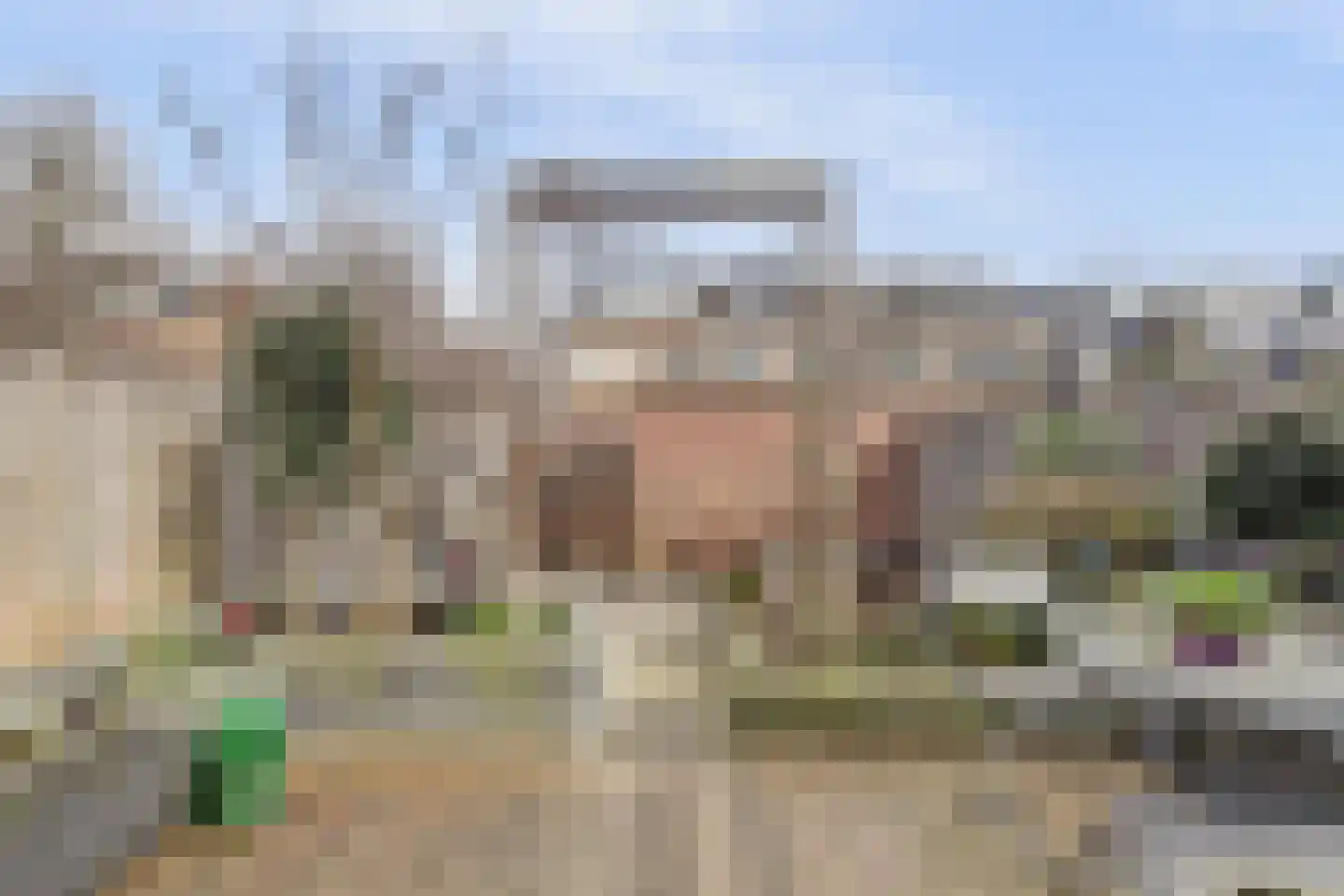 Zilvermeeuw 18 De Lier thumbnail 31