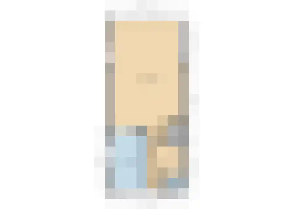 Zilvermeeuw 18 De Lier thumbnail 38